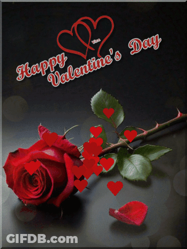 Happy Valentine's Day Card With Red Rose GIF