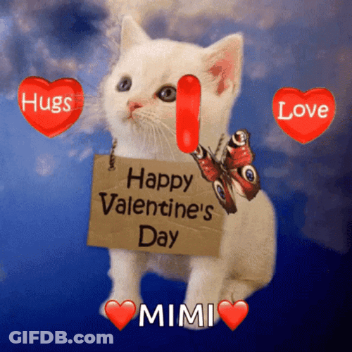 Happy Valentines Adorable White Kitty GIF