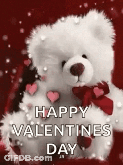 Happy Valentines Day Cute White Teddy Bear GIF