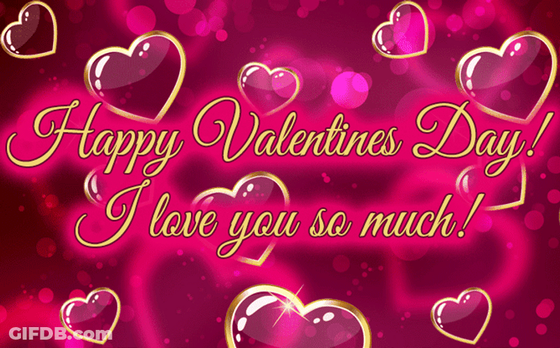 Happy Valentines Day Love You So Much GIF