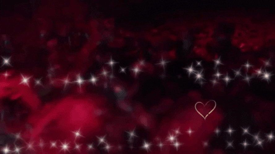 Happy Valentines Day Son Lots Of Roses GIF