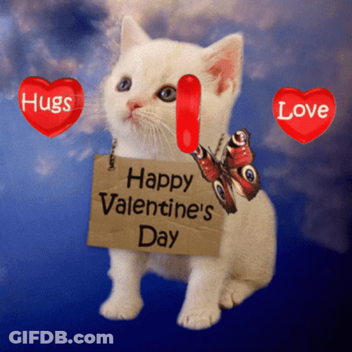 Happy Valentines Kitty Love And Hugs GIF
