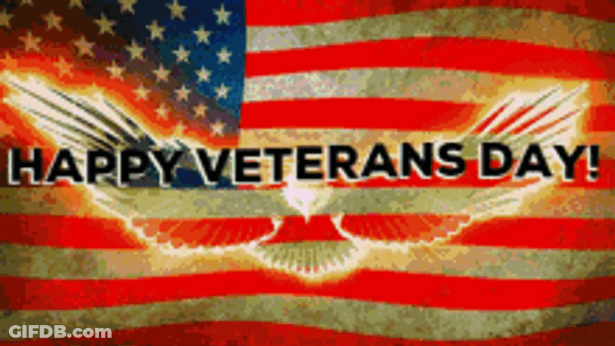 Happy Veterans Day Eagle And Flag GIF