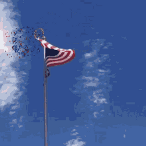 Happy Veterans Day Fireworks Animation GIF