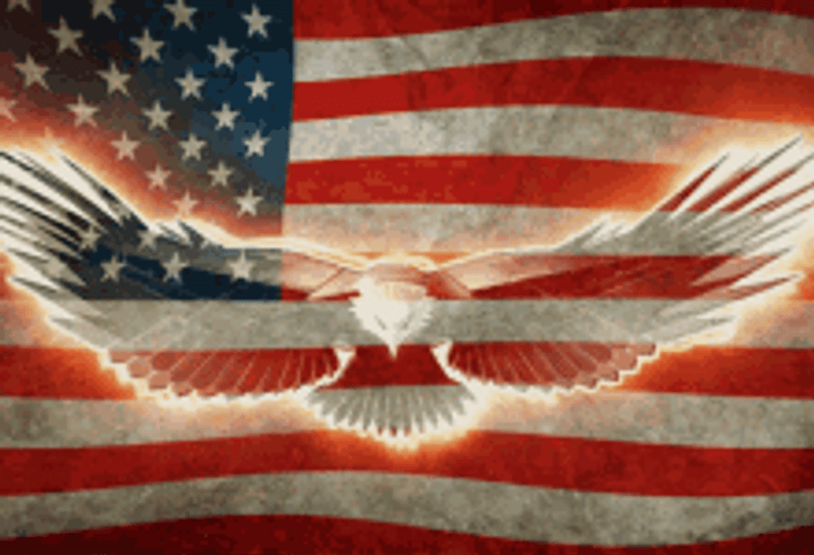Happy Veterans Day Flag GIF