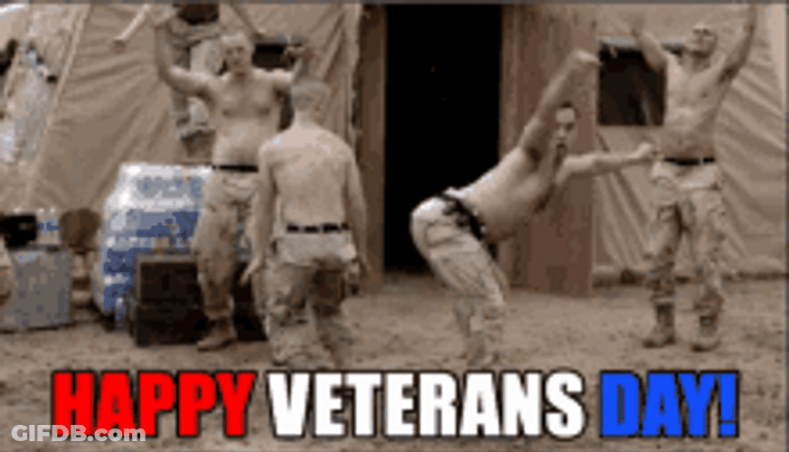 Happy Veterans Day Funny Dance GIF