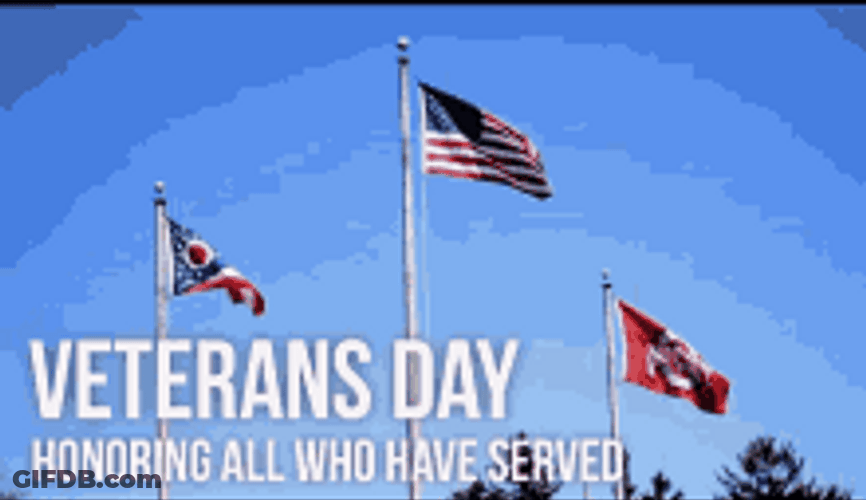 Happy Veterans Day Greeting Honors GIF