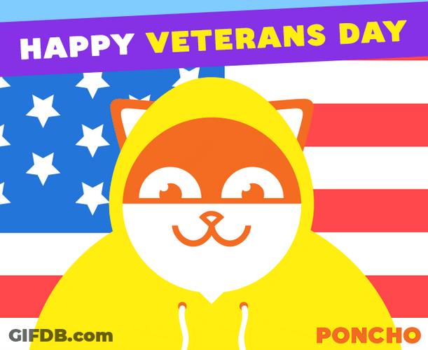 Happy Veterans Day Poncho Bear Animated Greeting GIF