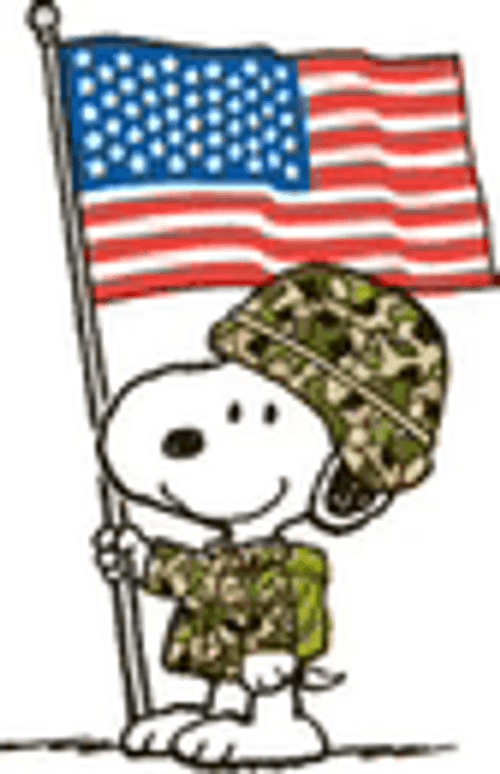 Happy Veterans Day Snoopy Meme GIF
