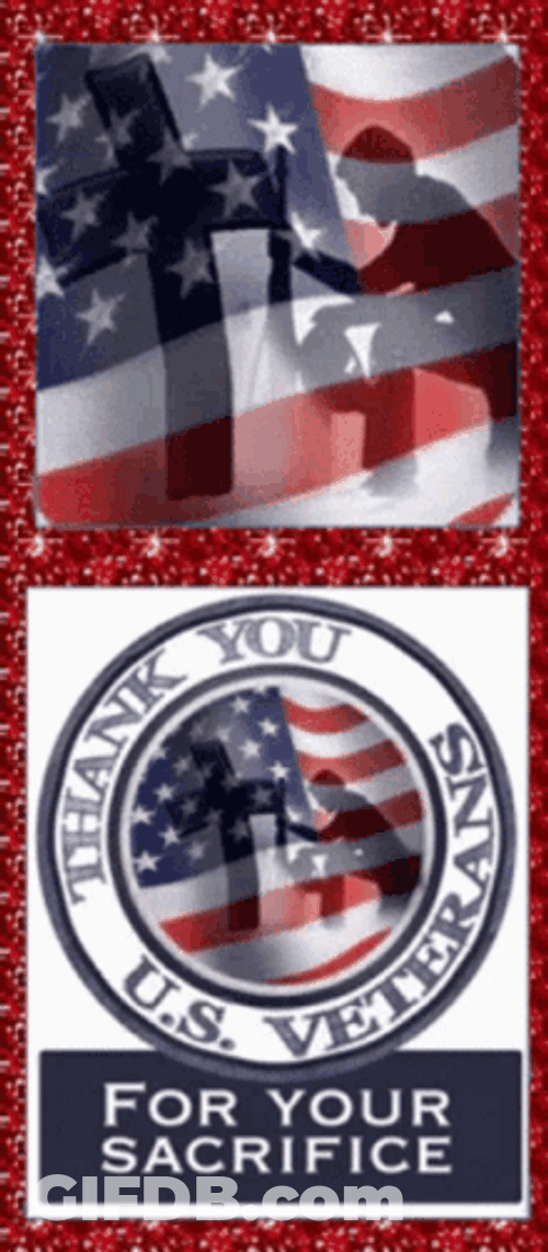 Happy Veterans Day Thanks GIF