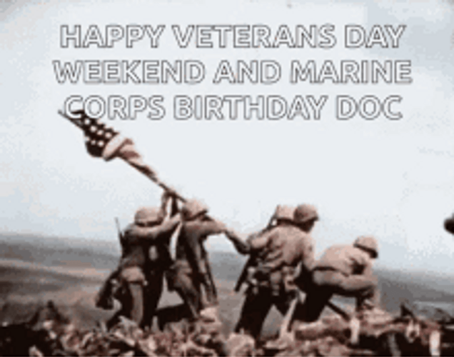 Happy Veterans Day Weekend GIF