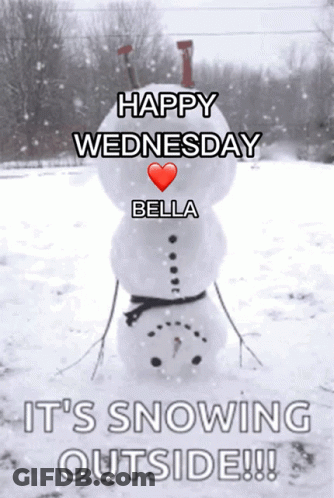 Happy Wednesday Bella It's Snowing Outside GIF