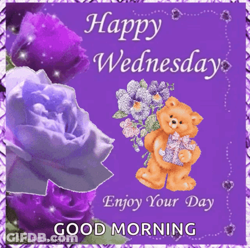 Happy Wednesday Card With Purple Roses And Teddy Bear Holding Gift GIF