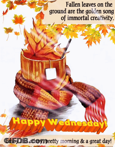 Happy Wednesday Card With Scarf And Cup Of Tea GIF