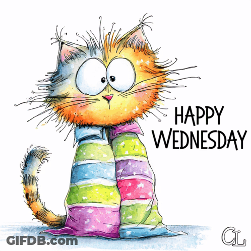 Happy Wednesday Cat Wrapped In Striped Blanket GIF