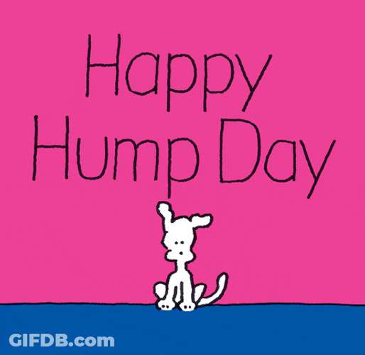 Happy Wednesday Chippy GIF
