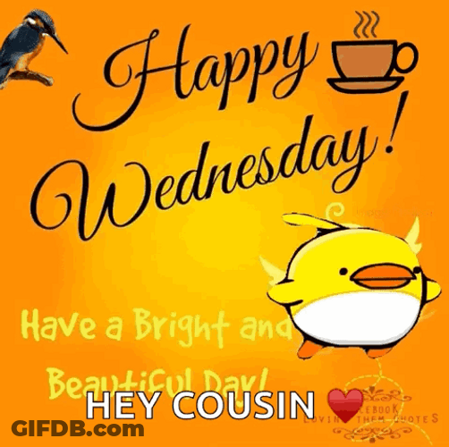 Happy Wednesday Cousin GIF