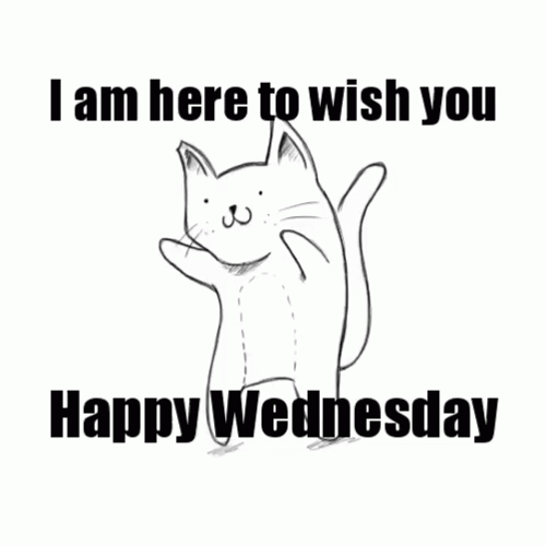 Happy Wednesday Cute Cat GIF