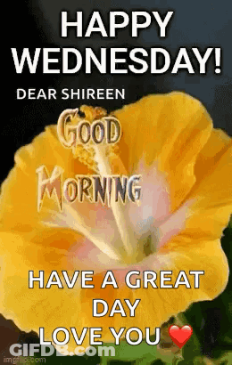 Happy Wednesday Dear Shireen Good Morning Love You GIF