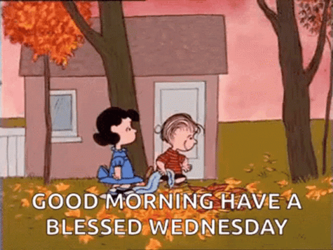 Happy Wednesday Fall GIF