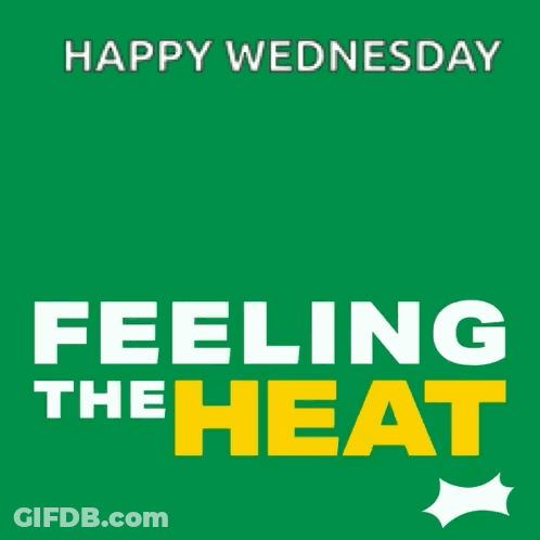 Happy Wednesday Feeling The Heat With A Sun Wearing Sunglasses On A Green Background GIF