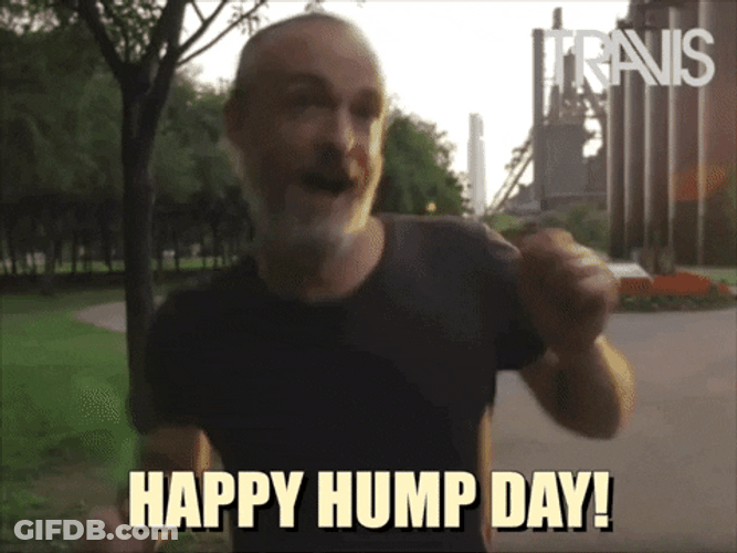 Happy Wednesday Fran Healy GIF