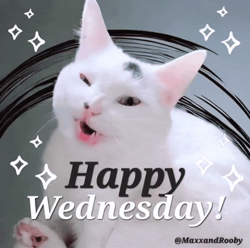 Happy Wednesday GIF