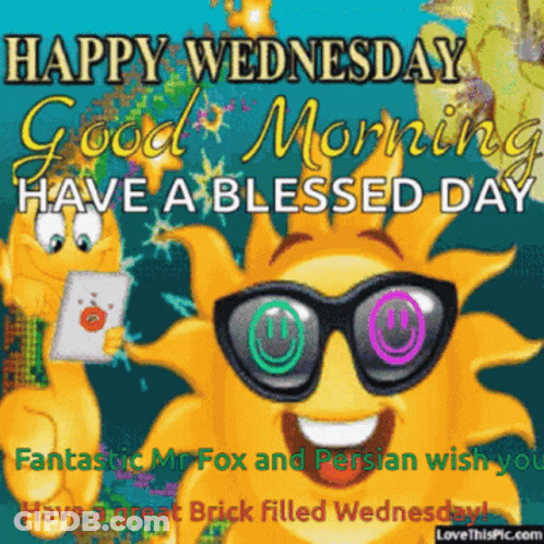 Happy Wednesday Good Morning Have A Blessed Day Fantastic Mr. Fox And Persian Wish You A Great Brick Filled Wednesday GIF