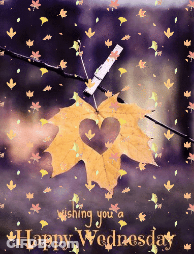 Happy Wednesday Greeting Card With Leaf Heart Cutout GIF