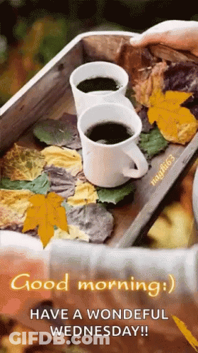 Happy Wednesday Greeting Card With Leaf Heart Cutout GIF