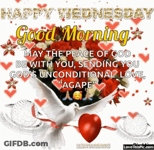 Happy Wednesday Message With Roses And White Dove GIF