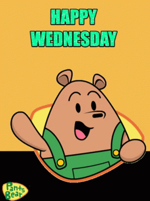 Happy Wednesday Pants Bear Hello GIF