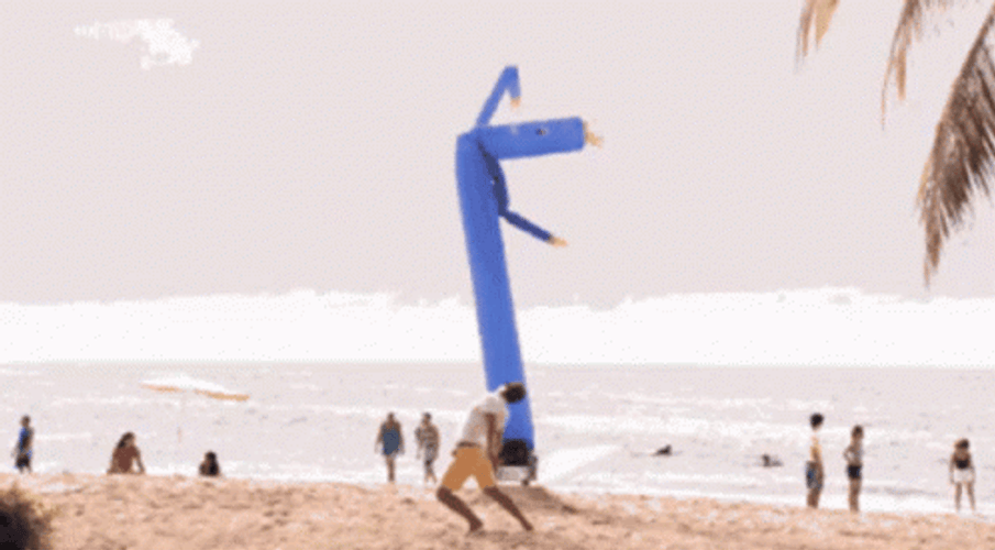 Happy Windsock Lets Party Birthday Beach GIF
