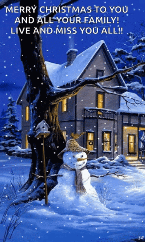 Happy Winter Saturday Christmas Night Live GIF