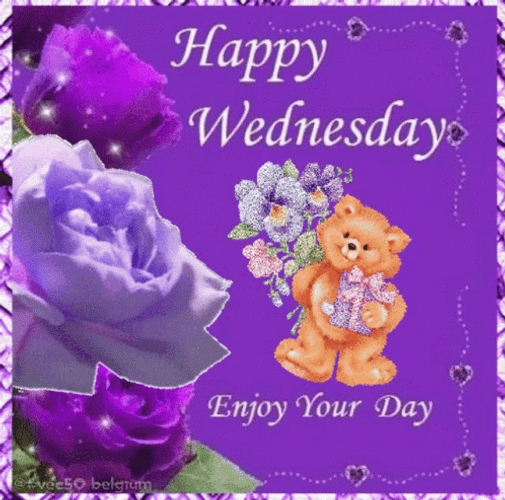 Happy Wonderful Wednesday Enjoy Your Day Bear GIF