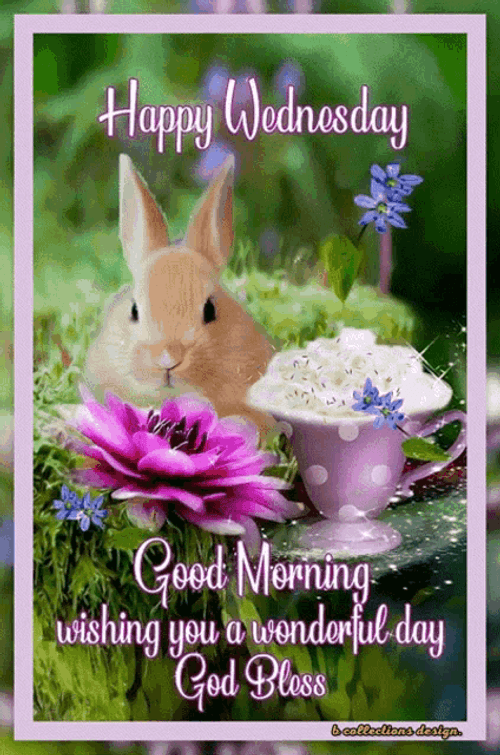 Happy Wonderful Wednesday Good Morning Rabbit GIF