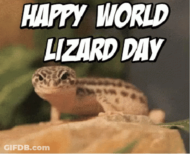 Happy World Lizard Day GIF