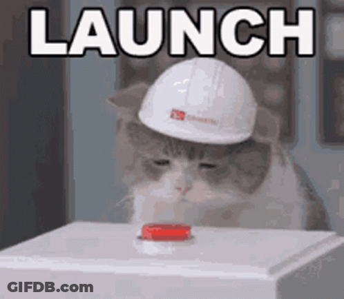 Hard Hat Cat Pressing Button Under Launch GIF