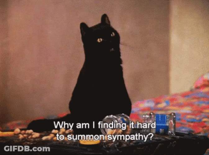Hard To Summon Sympathy Salem GIF
