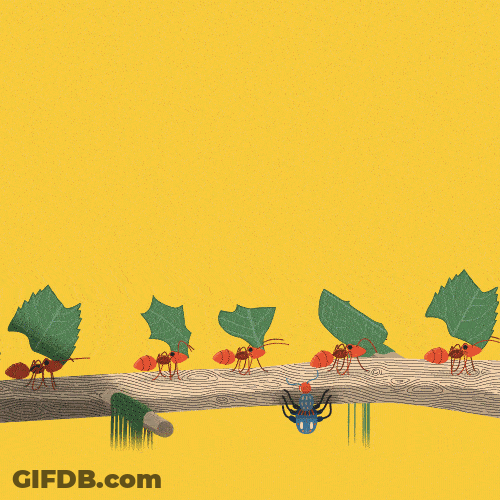 Hard Work Ants Working Together GIF