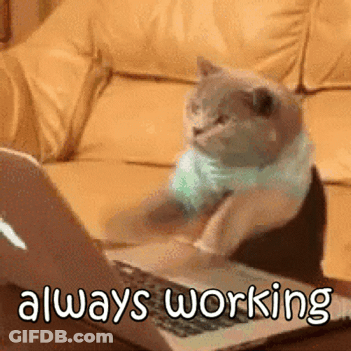 Hardworking Cat Fast Typing GIF
