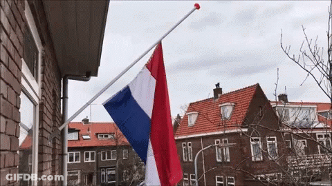 Harlem Flag GIF