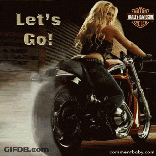 Harley Davidson Motorcycle Parked In Front Of Garage GIF
