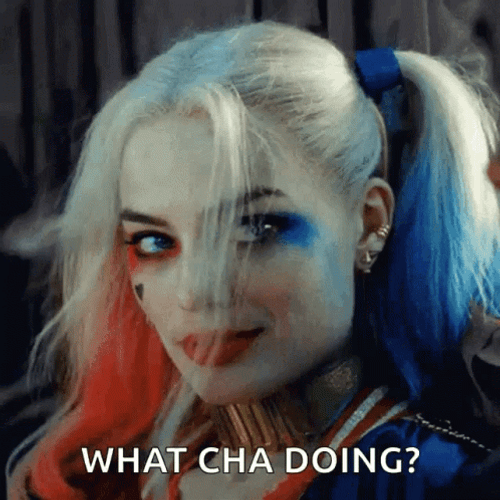 Harley Quin What Cha Doing Wyd GIF