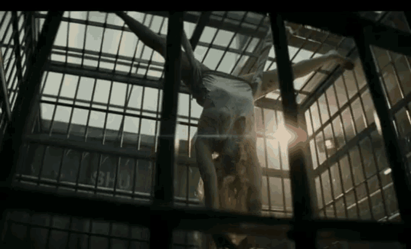 Harley Quinn Suicide Squad GIF