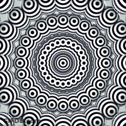 Haroulita Black And White Spiral Loop GIF