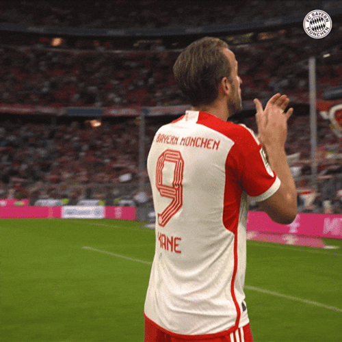 Harry Kane Clapping His Hands GIF