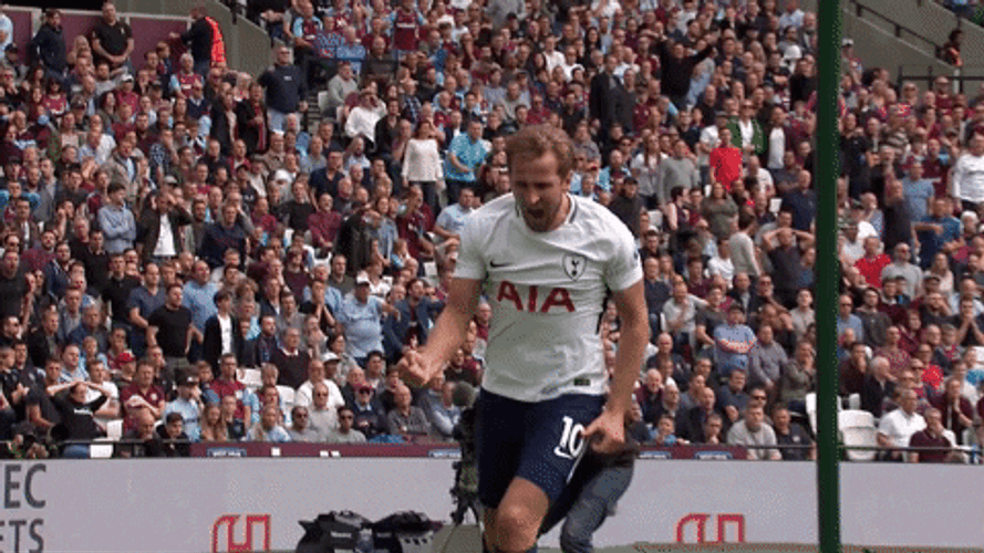 Harry Kane Closed Fist GIF