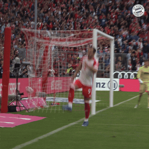 Harry Kane Hyped After Scoring Goal GIF