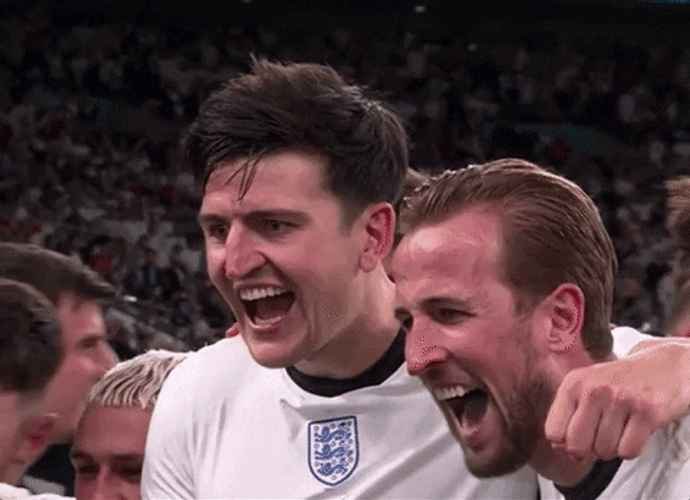 Harry Kane Joyful Celebration With Teammates GIF